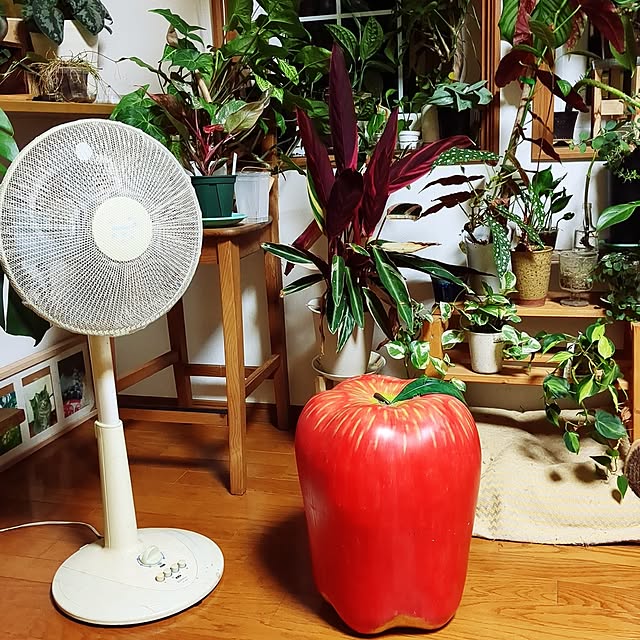 hiroさんの実例写真