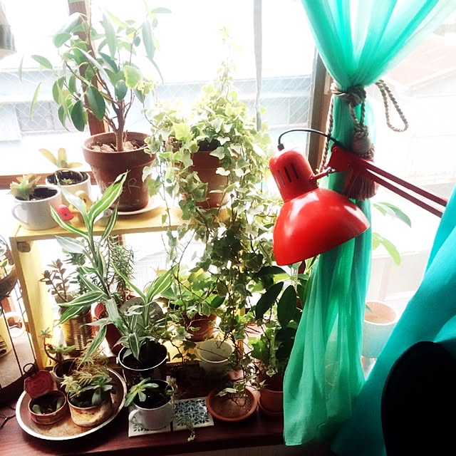 koppunさんの実例写真