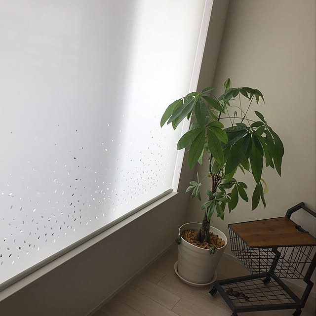 na-co1024さんの実例写真