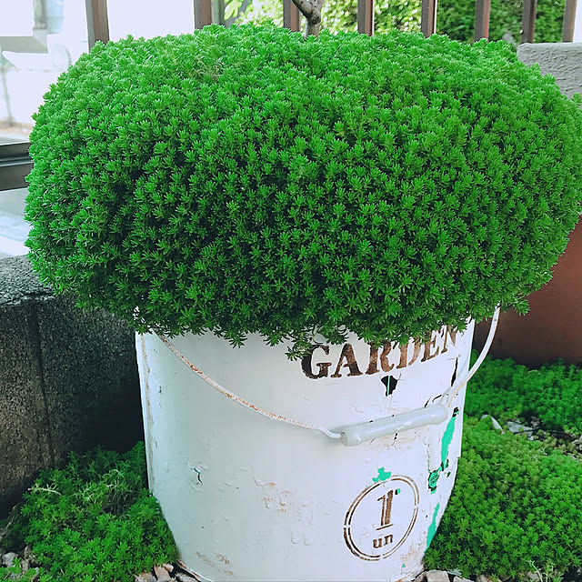 viviさんの実例写真