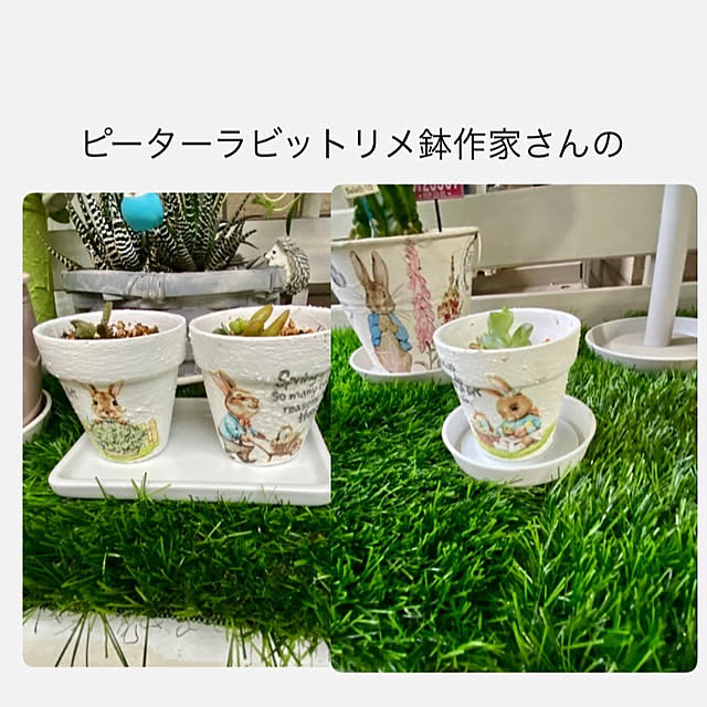 YuuKoさんの実例写真