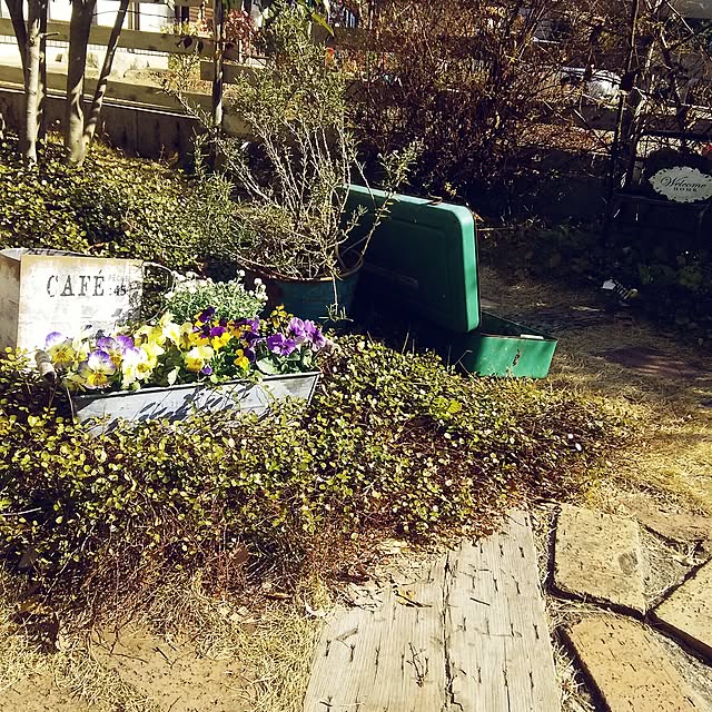 ベッド周り/ナチュラル/庭/アンティーク雑貨/花かんざし...などのインテリア実例 - 2017-01-29 11:01:33