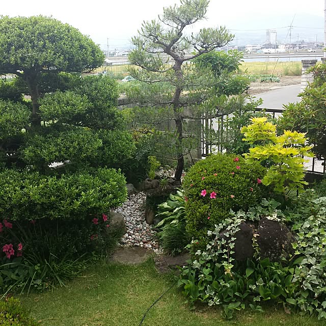 i-maiさんの実例写真
