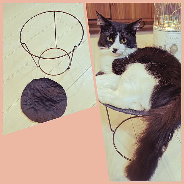 Mihoさんの実例写真