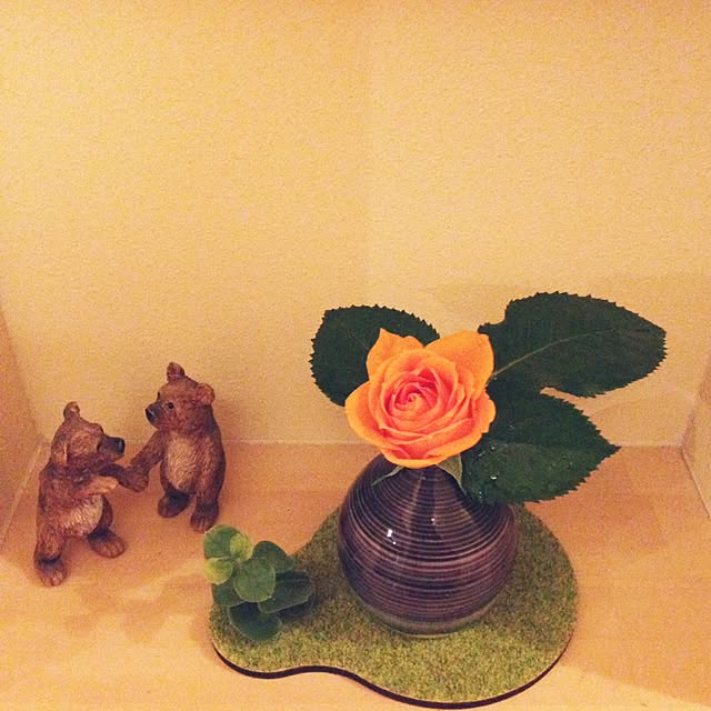mushroomさんの実例写真