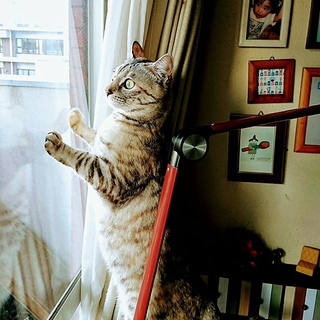 ranranさんの実例写真