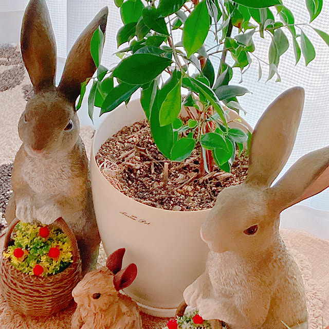 Hanakaさんの部屋