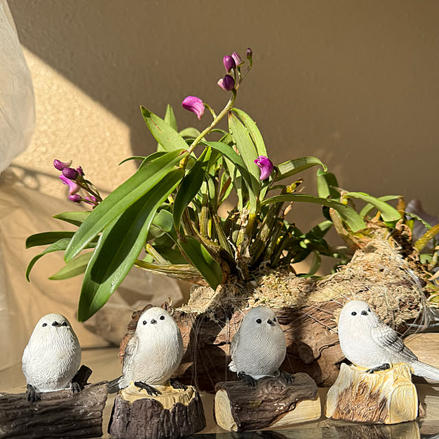 Aqettyさんの実例写真