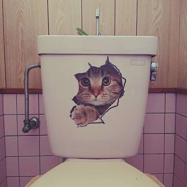 gomachaboさんの実例写真