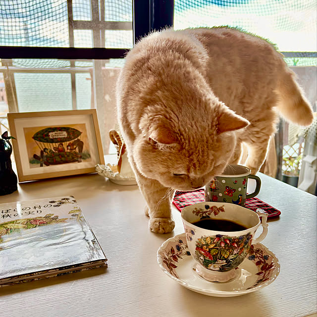 naokoさんの部屋