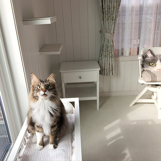 yuchiさんの実例写真