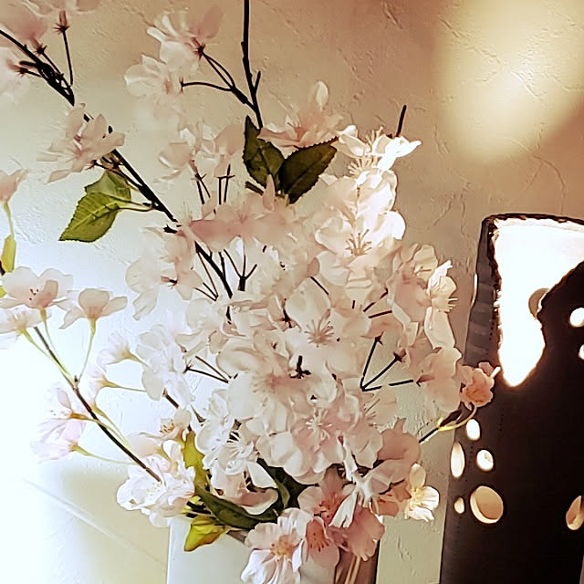 soraさんの実例写真