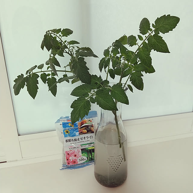 guiさんの実例写真