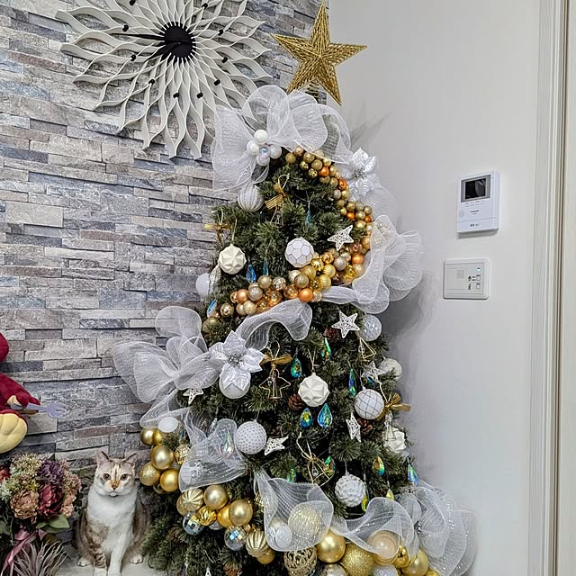 kohakuさんの部屋
