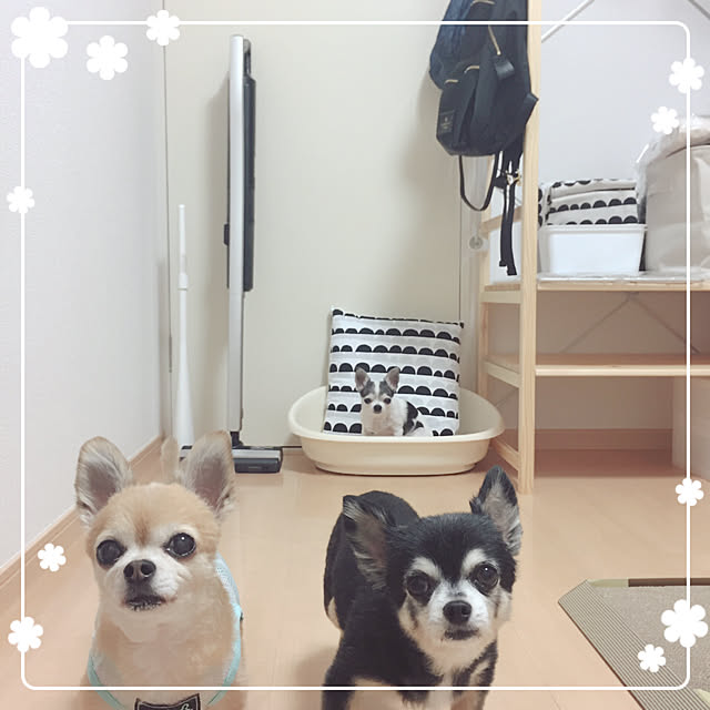 Emiさんの実例写真