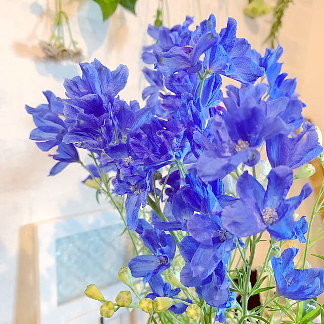cloversさんの実例写真