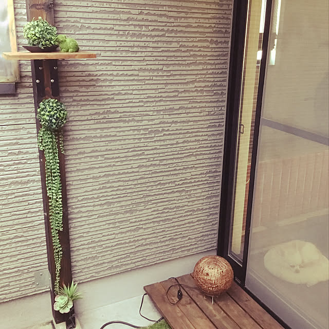 splush1219さんの実例写真