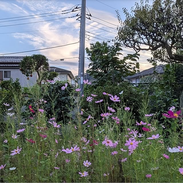 ku-garnet18さんの部屋