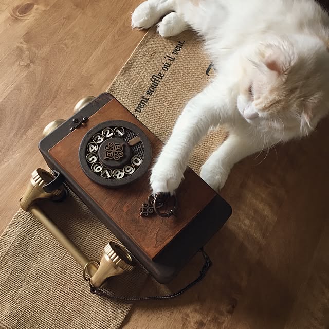 luna.comさんの実例写真