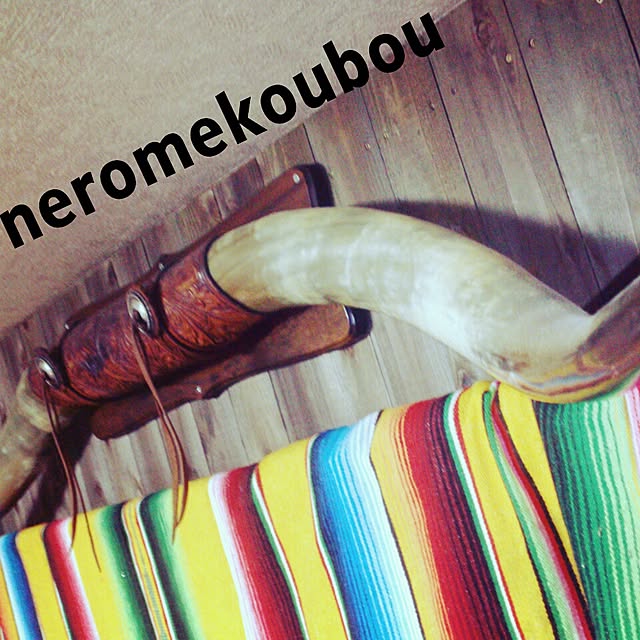 neromekoubouさんの実例写真