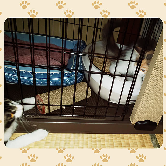 +CHIHARU+さんの実例写真