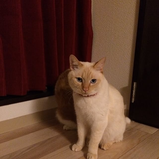 bobooooonさんの実例写真