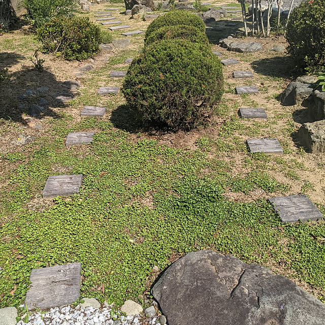 chiibou5223さんの実例写真
