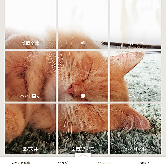 choku3さんの実例写真