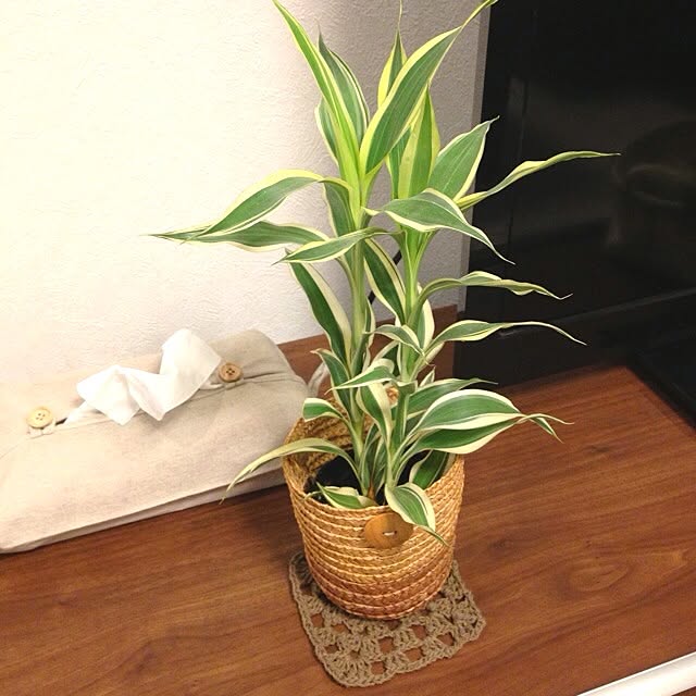 Hanaさんの実例写真