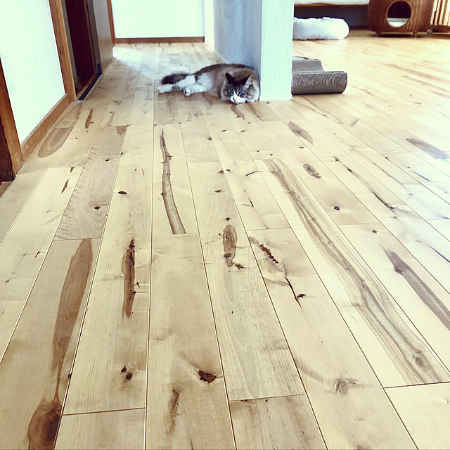 masyacanonさんの実例写真