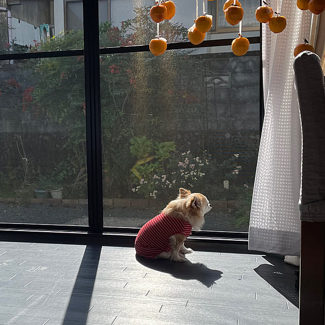 natsumiさんの部屋