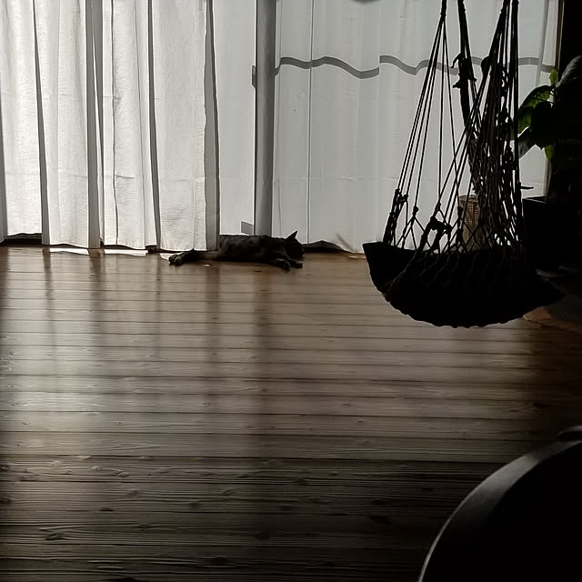 chiibou5223さんの実例写真
