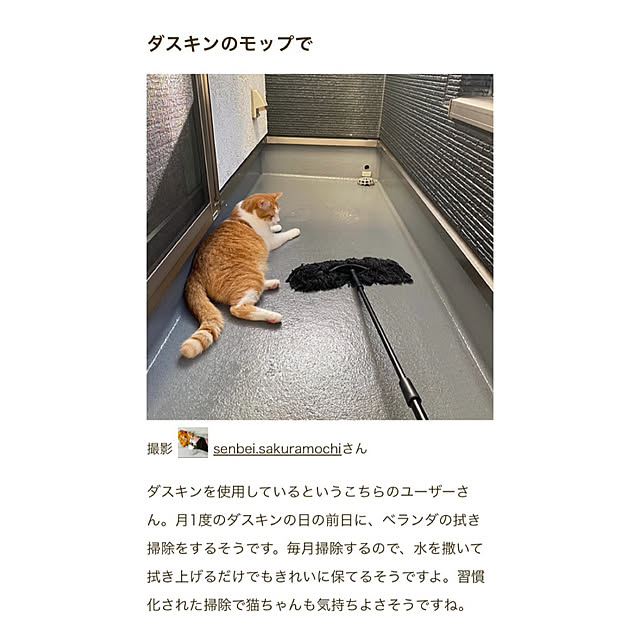 senbei.sakuramochiさんの実例写真