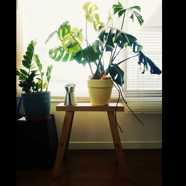 rurinosukeさんの実例写真