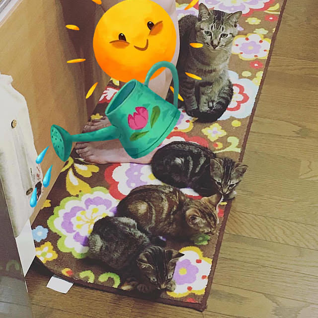 pepeさんの実例写真