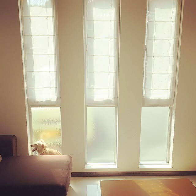 chisoさんの実例写真
