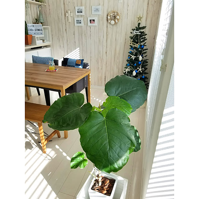 saaaaaykaさんの実例写真