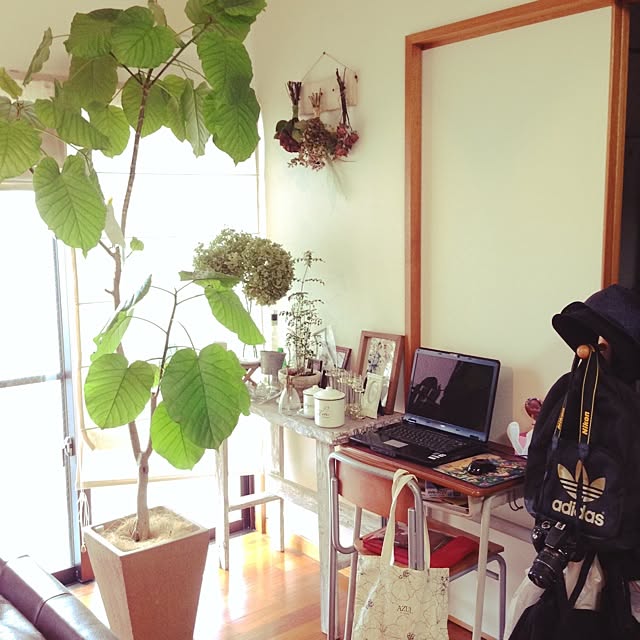 nochi_YTさんの実例写真