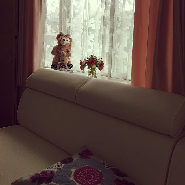 kenkoさんの実例写真