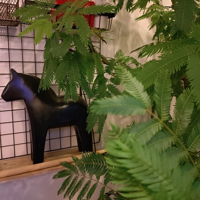 urchinさんの実例写真