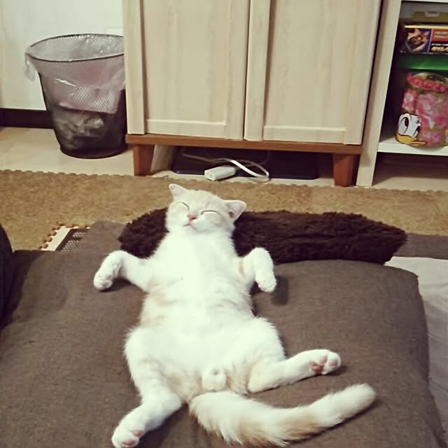 jonimofuさんの実例写真