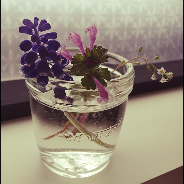 evitenさんの実例写真