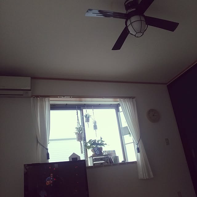 satokoさんの実例写真