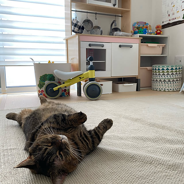 yukkaさんの実例写真