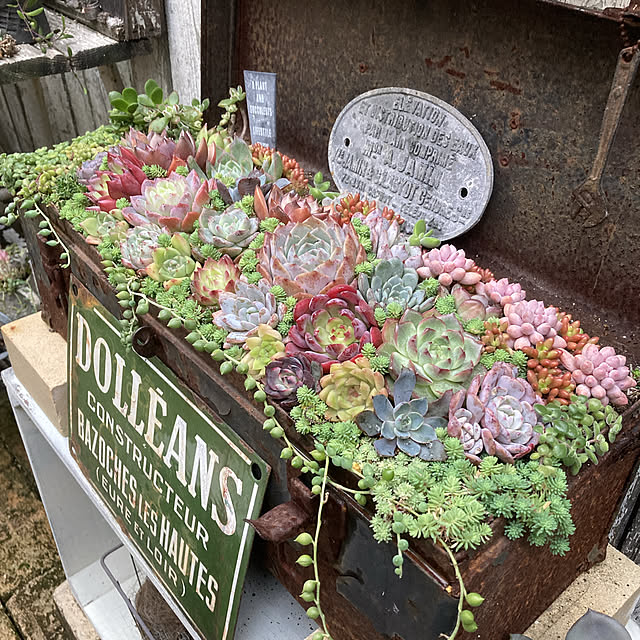 実例写真