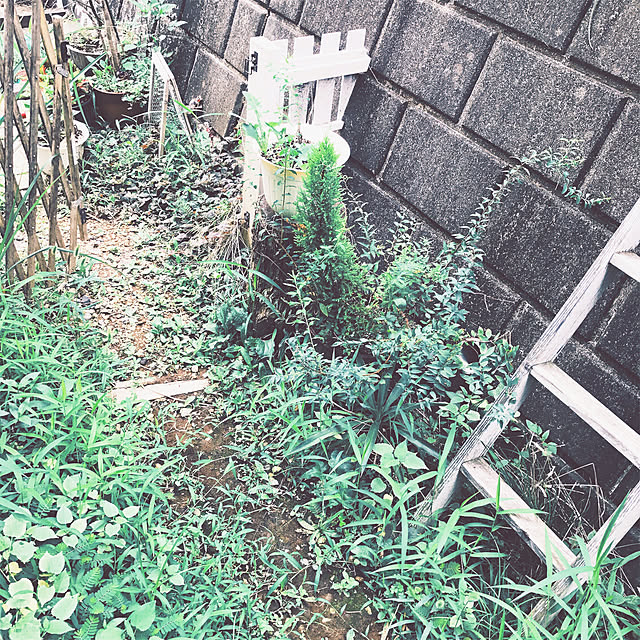 YOUさんの実例写真