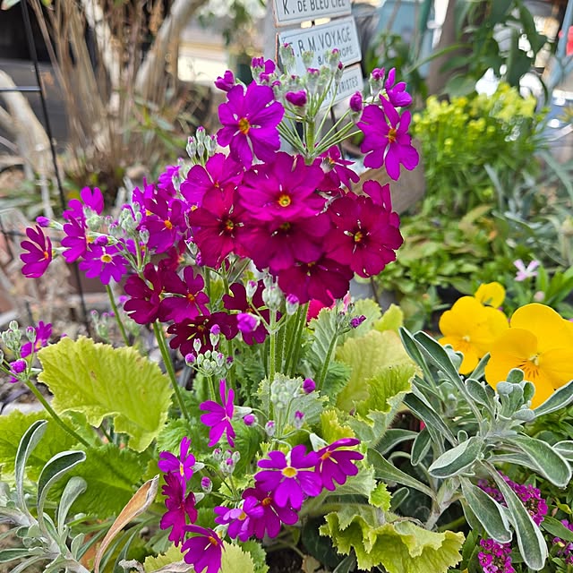 min_nimさんの実例写真