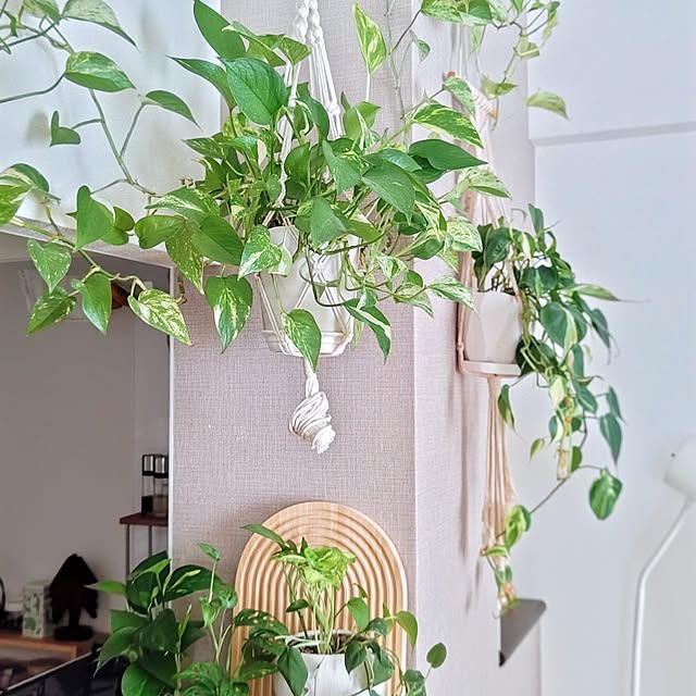 YuriYuriさんの部屋