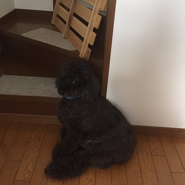 mimさんの実例写真