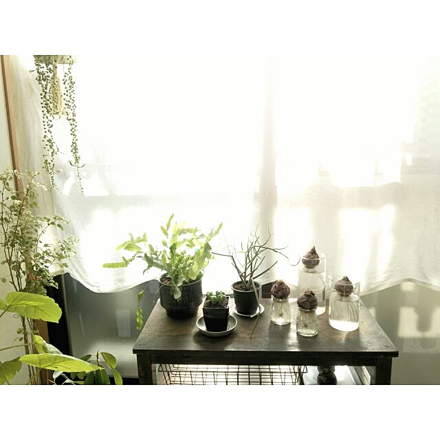 cata_coto_さんの実例写真